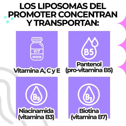 Ingredientes del Promoter Liposomas en Spray de Exel para pestañas y cejas